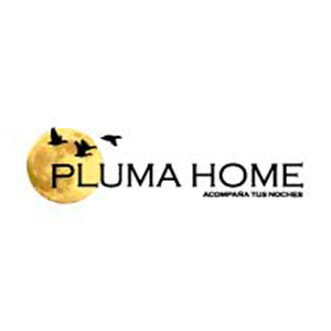 Logo pluma Home